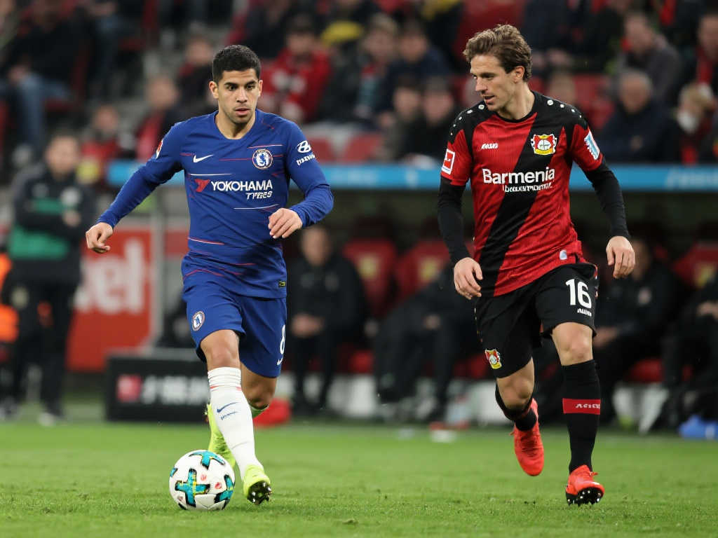 中的表现 中的表现